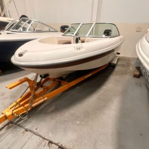 pietra 460  mercury 60 hp 2t