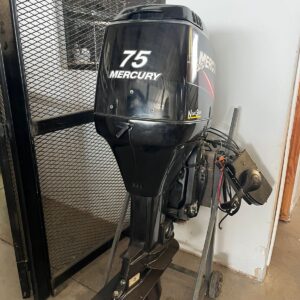 MERCURY 75 2 T FULL AÑO 2011