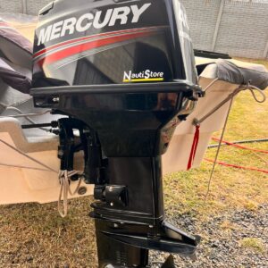 Mercury 40 HP 2T